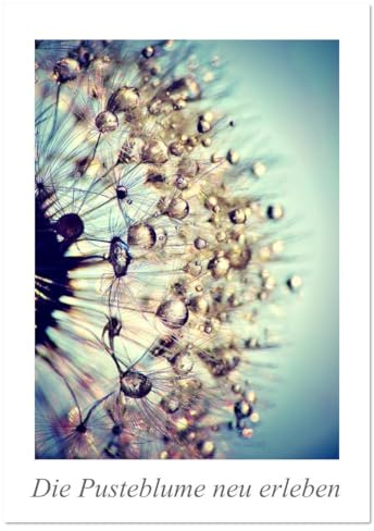 Die Pusteblume neu erleben (Wandkalender 2026 DIN A2 hoch), CALVENDO Monatskalender: Mit 12 spektakuläre Makroaufnahmen der Pusteblume ist dieser ... Blickfang an der Wand. (CALVENDO Natur)