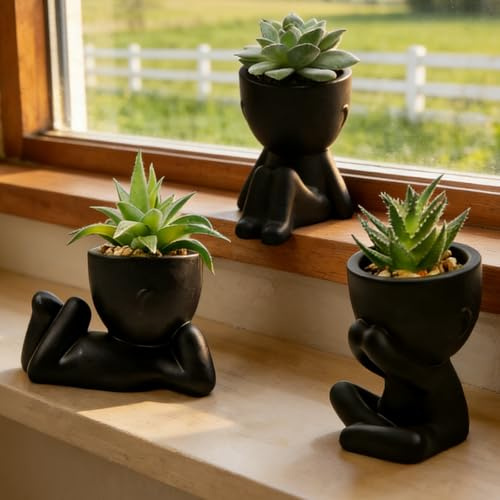 BAIFULAI 3 plantas suculentas artificiales: como plantas suculentas falsas reales con macetas negras, mini plantas artificiales para interiores, hogar, dormitorio, baño, decoración