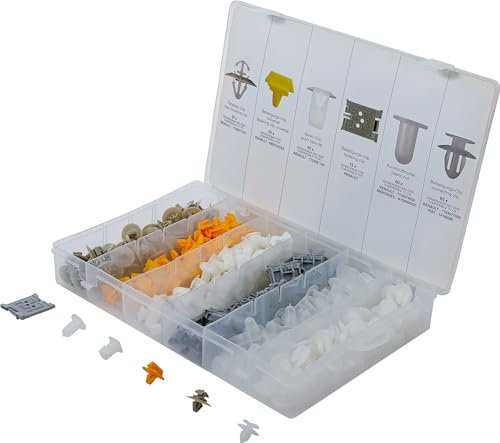 BGS 9048 | Assortiment de clips de fixation automobiles pour Renault | 300 pièces