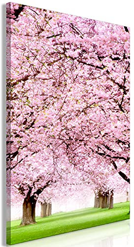 murando - Bilder Bäume 30x45 cm Vlies Leinwandbild 1 tlg Kunstdruck modern Wandbilder Wanddekoration Design Wand Bild - Kirschbaum Natur b-C-0582-b-a