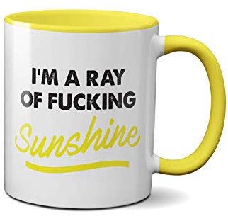 I'm A Ray of Sunshine Mug- Joke Funny Novelty Friends Colleagues Gifts Presents Ceramic Handle Idea Heavy Duty Handle Dishwasher and Microwave Safe