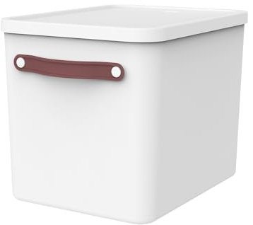 Rotho MYPAPER Plus Archivbox, Dokumentenorganizer, Ordnungssystem, Ablage für Unterlagen & Akten mit 15 Hängemappen DIN A4, 40×29×29 cm (L×B×H), weiss