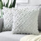 Sungeek 2er Set Sanft Plüsch Kurze Wolle Samt Kissenbezüge, Dekorativ Boho Zierkissenbezüge Luxus Kissenbezug Zuhause Deko Kissenhülle für Sofa Couch Schlafzimmer Wohnzimmer (Hellgrau, 60x60cm)