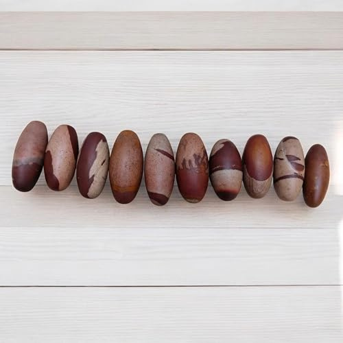 Narmada Shiva Lingam 7,6 cm Banalinga Narmadeshwar Shivling Lingam Statue Stein Puja Zimmer religiöser Gott Shiva Shivling Idol Murti Skulptur Jyotirlinga Bana Lingam für finanziellen Wohlstand