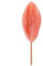 Lutscher mit witzigen Motiven aus Zucker oder Schokolade - Scherzartikel JGA Fun Lollipop Penis Lolli Vagina Lolly (Vagina Pink)