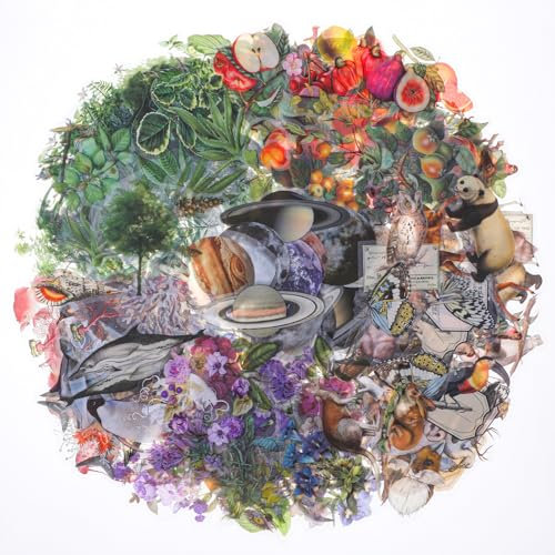 240 Stück Scrapbook Stickers vorgeschnittene Aufkleber mit Naturmotiven Pflanzen Aesthetic Für Fotoalbum Transparente Wasserfeste Vinyl Aufklebers Selbstklebende Aufklebers Zubehör Für Diy Tagebücher