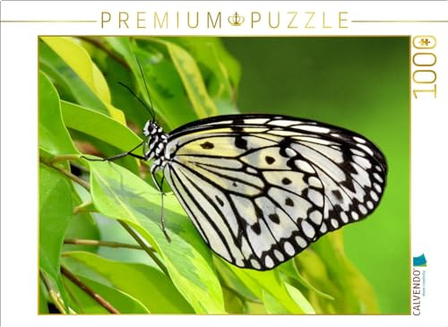 CALVENDO Puzzle Weiße Baumnymphe | 1000 Teile Lege-Größe 64 x 48 cm Foto-Puzzle für glückliche Stunden