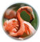 Deluxebase Magnidome - Flamingo Flamingo Kristallglas Kühlschrank Magnet für Kinder. Hervorragende gewölbte Magnete für Wohndekoration und Zubehör