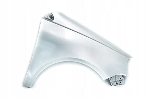 Gal Industrial Kotflügel kompatibel für Volkswagen Polo 9N3 IV 4 Lift LA7W Rechts Silber Vorderseite lackiert
