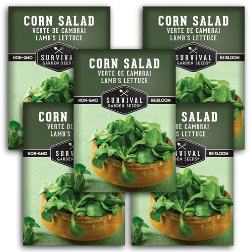 Corn Salad Seeds for Planting - Mache, Lamb's Lettuce - Cold Hardy Salad Greens - Heirloom Verte de Cambrai Variety - Non GMO Green Leafy Vegetable - Survival Garden Seeds (5 Packs)
