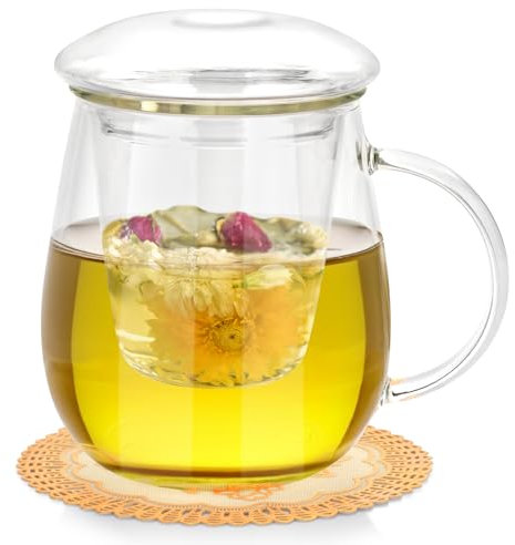QHYK Tasse à thé en verre de 500 ml, tasse avec infuseur en et couvercle en verre, tasse à thé borosilicate, convient pour le thé noir, les boissons, le café glacé, les sachets de thé