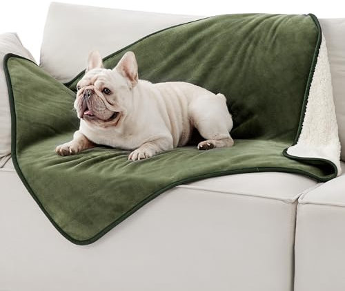 Lesure wasserdichte Hundedecke mittelgroße Hunde - 100x86cm Hundedecke waschbar, Hundedecke Sofaschutz aus Sherpa Fleece, Katzendecke flauschig und weich, Olivgrün