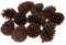 Sharplace 10pcs Tannenzapfen Kiefernzapfen natürliche Pinienzapfen Deko Basteln Weihnachten, B 8-10CM