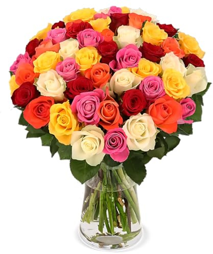 Blume Ideal Rosenstrauß | 20 Bunte Rosen | Ø 40–50 cm | Echte Premium Rosen für Hochzeit & Deko | 7 Tage Frischegarantie | In verschiedenen Farben und Mengen
