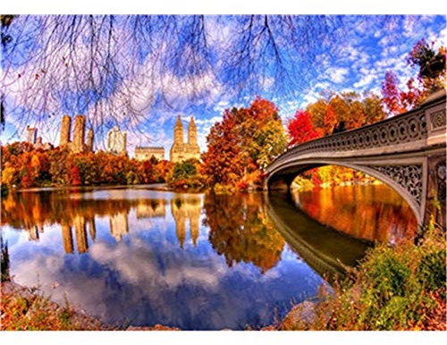 Yingxin34 Hölzerne Puzzles für Erwachsene 5000 Stück New York Park Lernspiele Brain Challenge Puzzles für Erwachsene Kinder