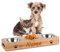 Katzennapf 3er Set mit Name, OXYEFEI Hundenapf Erhöht Bambus Personalisiert mit Text Design und rutschfest Bambussockel Für Kleine Mittelgroße Katzen/Hunde