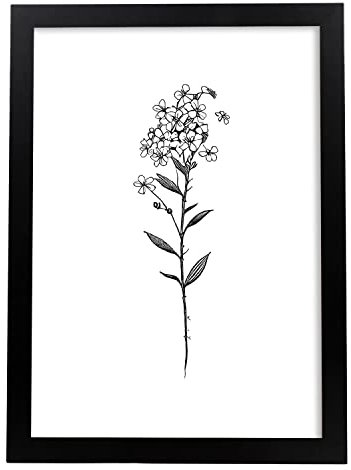 Nacnic Vergissmeinnicht 1 Poster im nordischen Stil. Botanik Illustrationen mit Blumen und Pflanzen in Schwarz und Weiß. Innenarchitektur und Dekoration. A4.