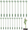 Tomedeks tutores para Plantas Soporte para Plantas Soporte para macetas Soporte Plantas Interior,20 Piezas, de Crecimiento estacionario,para la mayoría de Flores y Plantas de Tallo pequeño