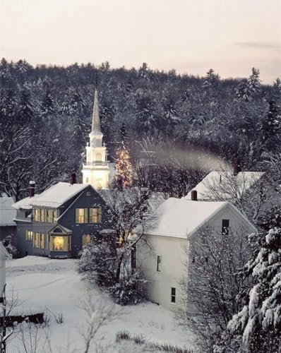 1000 Piece Jigsaw Puzzles,Jigsaw Puzzles for Adults Teenagers Jigsaw Puzzle-New,england,snow,winter 70x50cm