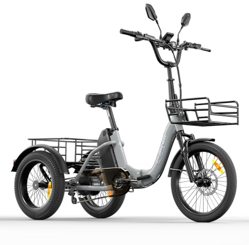 AG1 Pro triciclo elettrico per adulti con batteria 48V e 20Ah（960Wh）150km di autonomia, bici elettrica pieghevole in alluminio con freni Shimano MT200, cargo bike con sblocco NFC e retromarcia