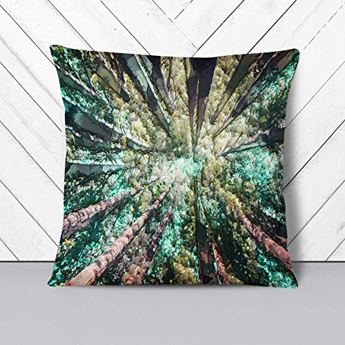 Big Box Art Redwood Trees in California in Abstract - Cushion Cover Throw Pillow with Insert for Sofa Chair Bed - Double-sided - 55x55 cm