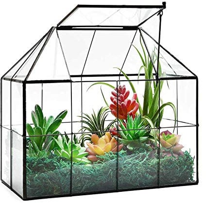 Invernadero grande de cristal para plantas suculentas con tapa, diseño geométrico