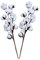 Facynde Baumwolle Zweig Natürlich Baumwolle Getrocknete Blumen Kunstblumen Gefälschte Unechte Blumen für Vase Hochzeit Zimmer Cafe Dekoration