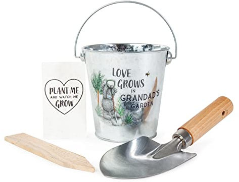 Me To You Father's Day Plant Pot Gift Set with Trowel and Wildflower Seed Paper, Multicolor (FGZ01023)