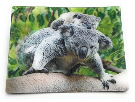 Onwomania Koala Bären Koalabär 9x7cm 3D Magnet Karte Kühlschrankmagnet Magnetbild Heftmagnet Grau