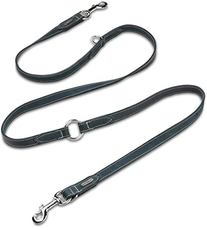 JACK & RUSSELL Hundeleine aus Leder & Edelstahl Karabiner/Ringe | verstellbare Führleine 2,00m | robuste & weiche Hunde Lederleine aus Büffel-Fettleder Buddy (Petrol)