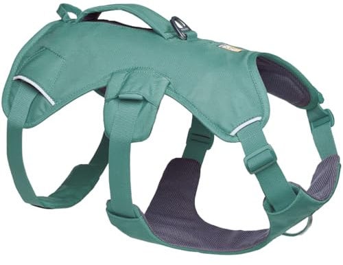 Ruffwear Web Master Hundegeschirr, Y-Front-Hundegeschirr mit Griff und verbesserter Schnalle, verstellbar und leicht für Spaziergänge und Wanderungen, fluchtsicher, River Rock Green, Large/X-Large
