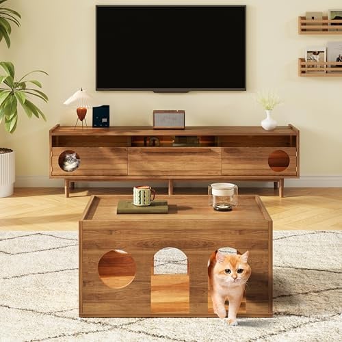 Couchtisch aus Nussbaum mit Katzenlöchern – Haustierfreundlicher Wohnzimmertisch, 80×50×40 cm, natürliche Holzoberfläche, multifunktional für Mensch & Katze, modern & stabil