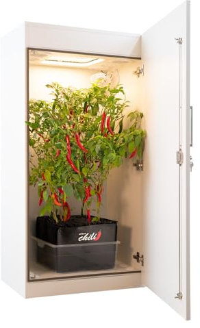 urban Chili Light - Grow Box [65 x 45 x 133 cm] with LED and Accessories - Premium Complete Set - [Quiet and Efficient] - Grow Cabinet for Homegrow - Indoor Grow Box for Plants 73 W