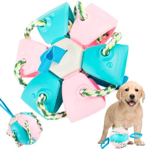 Magischer Ball Frisbee Fliegende Untertasse, Hunde Katzen Haustiere Kinder, Ball Ball Toy, Magic UFO Ball, Spielzeug Garten Welpen Kind offen, zufällige Farbe (Flugscheibe)
