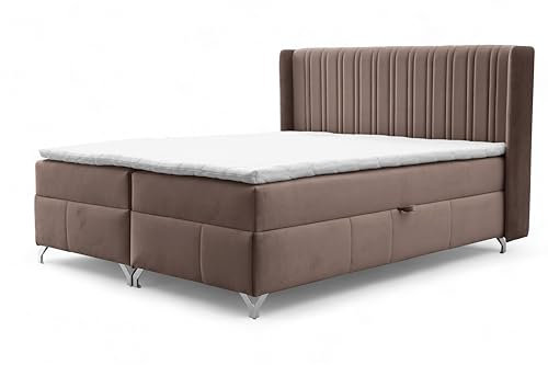 FURNISTAR Boxspringbett Maddie mit Bettkasten Bett mit Topper und Bonellmatratze Polsterbett Familienbett Schlafzimmer Bett mit Stauraum (Braun, 160x200)