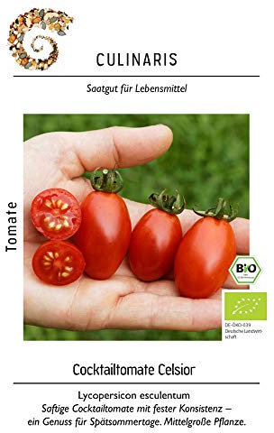Culinaris 005 Cocktailtomate Celsior (Bio-Cocktailtomatensamen)