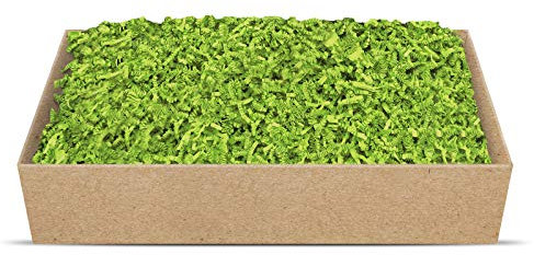 SizzlePak Geschenkfüllmaterial Umweltfreundliches Papierfüllmaterial viele Farben 125g-1kg (Lime Green, 500g)