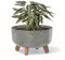 botle Bonsai Schale Baum Mini Garten Blumentopf an den Füßen Pflanzkübel D 28,5 cm hell Grau Kunststoff Töpfe mit Einsatz Beton Optik Übertöpfe