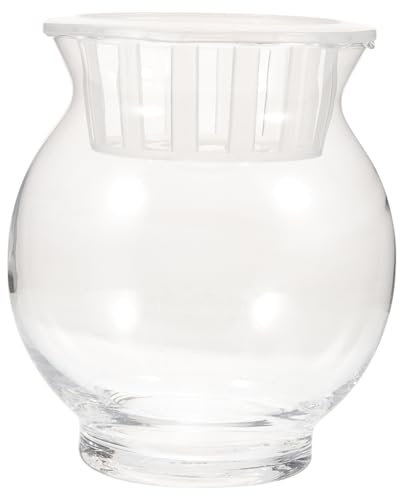 Kisangel Terrario Per Idrocoltura Design Decorative Per Ed Vasi Per e Idroponiche