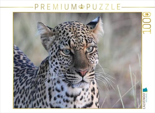 CALVENDO Puzzle Leoparden – Augen-Blick | 1000 Teile Lege-Größe 64 x 48 cm Foto-Puzzle für glückliche Stunden
