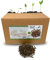 GreenPanda Bio Schafwollpellets Dünger - 4kg Organischer Langzeitdünger - Schafwolle Dünger für Garten, Haus & Zimmerpflanzen mit KALI-BOOST (4kg)
