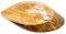Verda Holz-Waschbecken Natur-Waschbecken Waschschale + Click-Clack-Ablaufventil (U103)