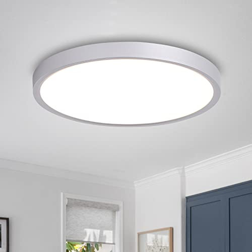 WTUOING Deckenlampe LED Deckenleuchte Rund 24W 5000K Badezimmer Lampe Kaltweiß Ø30cm 2800LM Ultra Dünn Deckenleuchte für Wohnzimmer, Schlafzimmer, Küche, Flur, Keller, Balkon, Silber