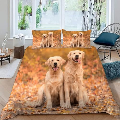 NYSMGS Kinderbettwäsche 135x200 Golden Retriever Mädchen Jungen Kinder 3D Druck Hund Herbst Bettbezug Weich Mikrofaser Sommer Bettwäsche-Sets 3 Teilig mit Reißverschluss und 2 Kissenbezüge 80x80cm