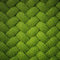 HEKO PANELS Oxford Wasserdichte Meterware Canvas-Stoff Polyester Zum Nähen Nähstoffe Möbelstoffe Dekostoffe Handwerken Wasserabweisend Blickdicht Gras Geometrisch 1 Meter 155 x 100 cm