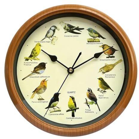 Fenteer Vogel-Wanduhr, Vogeluhr mit Ton, die zu jeder Stunde singt, dekorative Uhr, Hängeuhr, Dekor für Zuhause, Wohnzimmer, Dekoration