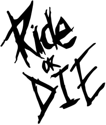 LKW-Schriftzugaufkleber, Buchstabenaufkleber Fürs Auto, Autotür Schriftzug Aufkleber, Ride Or Die Autofensteraufkleber, Wasserfester Autotür-Schriftzug-Aufkleber, Kostenloser Zuschnitt