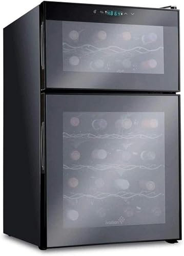QPZMALSKY Enfriador de Vino termoeléctrico de 24 Botellas | Bodega de sobremesa para vinos tintos y Blancos | Frigorífico Independiente, frigorífico de Funcionamiento silencioso | Acero INOX