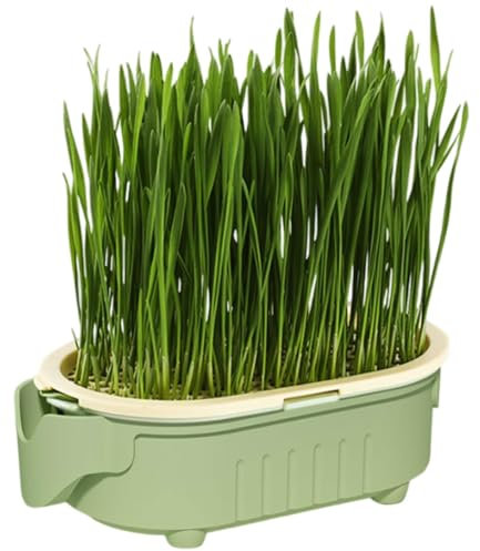 Caja De Plantación De Césped De Gato - Plantador De Hierba De Gato | Pot De Planta De Hierba De Gato | Kit De Cultivo Fácil Para Gatos | El Césped No Tóxico, Seguro Y Saludable Para Gatos Interiores |