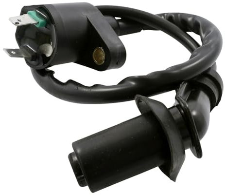 2EXTREME Zündspule inkl. Zündkerzenstecker für Peugeot Ludix 2, New Vivacity, Speedake, Speedfight 1-4, Squab, SV, TKR 50cc Roller (2-Pin, 12V, 30.000V, 2-Takt & 4-Takt)